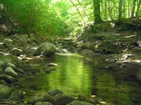 P8190442.webp