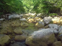 P8190444.webp