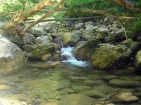 P8190447.webp