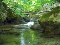 P8190453.webp