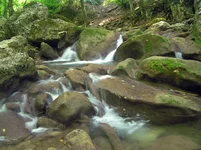 P8190460.webp