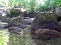 P8190477.webp