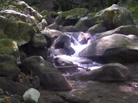 P8190478.webp