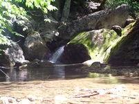 P8190479.webp