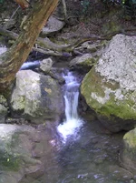 P8190483.webp