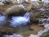 P8190485.webp