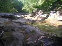 P8190488.webp