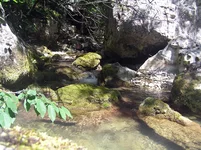 P8190490.webp