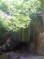 P8190509.webp