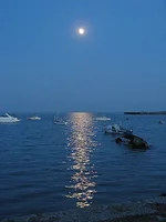 _361991.webp