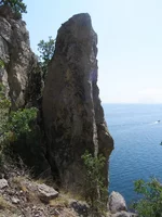 P8208191.webp