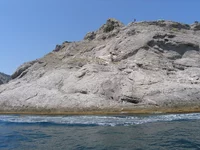 P8208213.webp