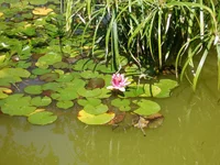 P8218308.webp