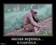 x_5423f27e.webp