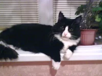 1IMG0001B.webp