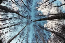 r001-004.webp