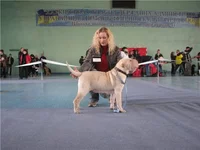 257a9bf730cb.jpg