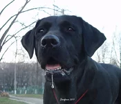Копия Изображение 445.jpg