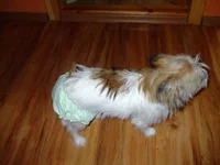 DSCF9183.webp