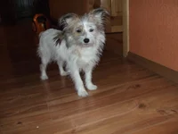 DSCF9485.webp