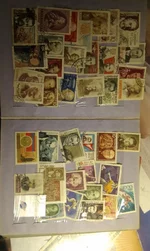 IMAG1058.webp IMAG1058.webp