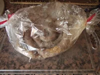 DSCF0070.webp