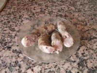 DSCF0078.webp