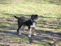 IMG_0683.webp