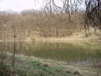 P4240179_1.webp