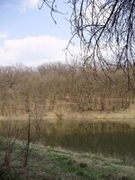 P4240180_1.jpg
