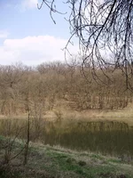 P4240180_1.webp