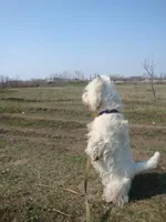 DSC08154.webp