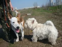 DSC08165.webp