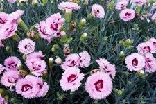 IMG_0634.webp