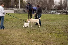 DSC_1289.webp