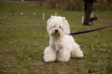DSC_1544.webp