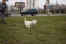DSC_1562.webp