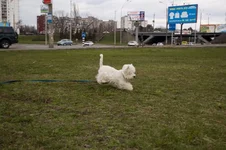 DSC_1566.webp