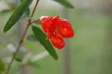 DSC_0017.webp