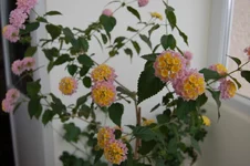DSC_0005.webp