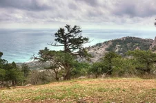 DSC_0261_2_3_6_9_tonemapped.jpg