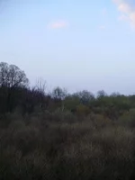 P4250164.webp