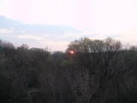 P4250171.webp