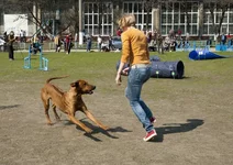 0_7c49b_a68ae982_XL.webp