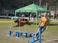 0_7c499_d4b02c12_XL.webp
