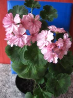  002.webp