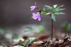 2011_04_25_6438.webp