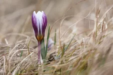 2011_04_24_6267.jpg