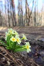 2011_04_25_6413.jpg
