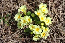 2011_04_24_6232.webp